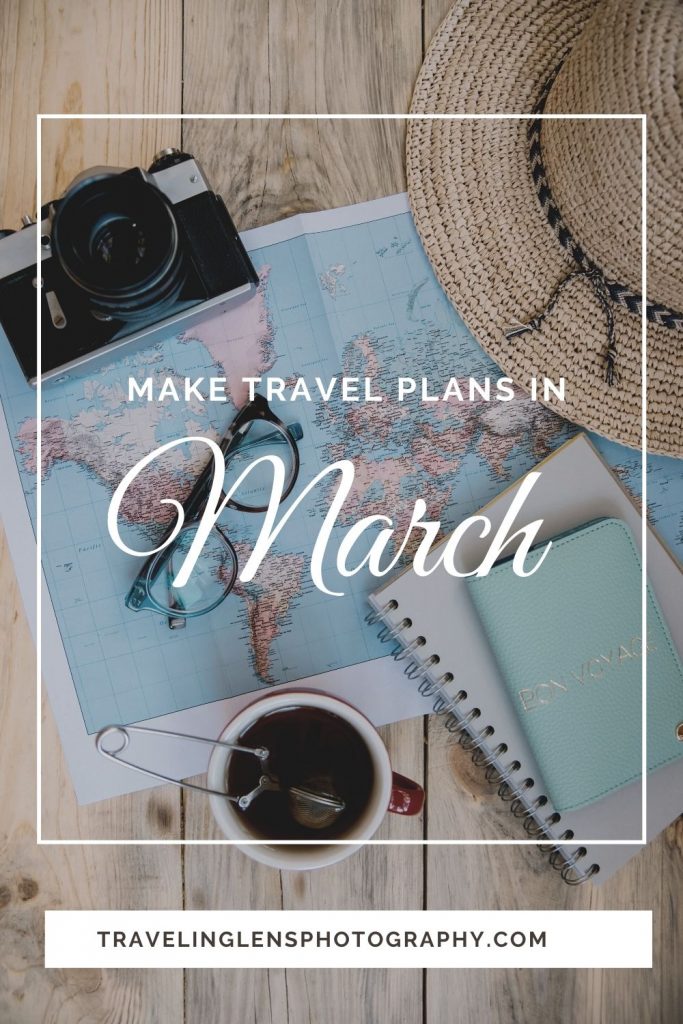 Make Travel Plans Pin