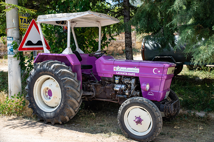 lavender tractor