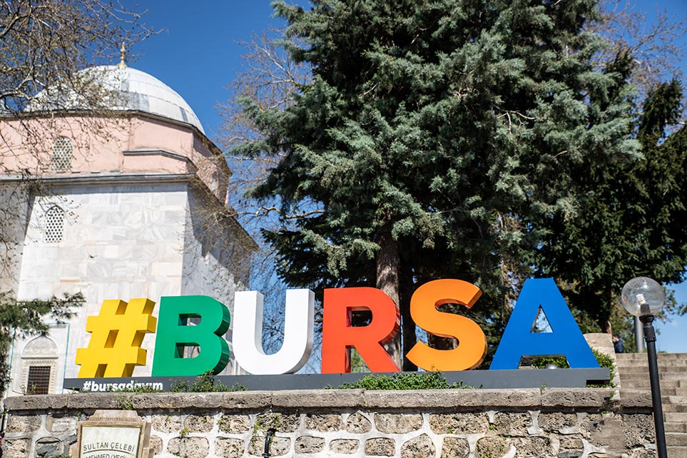 Bursa signs