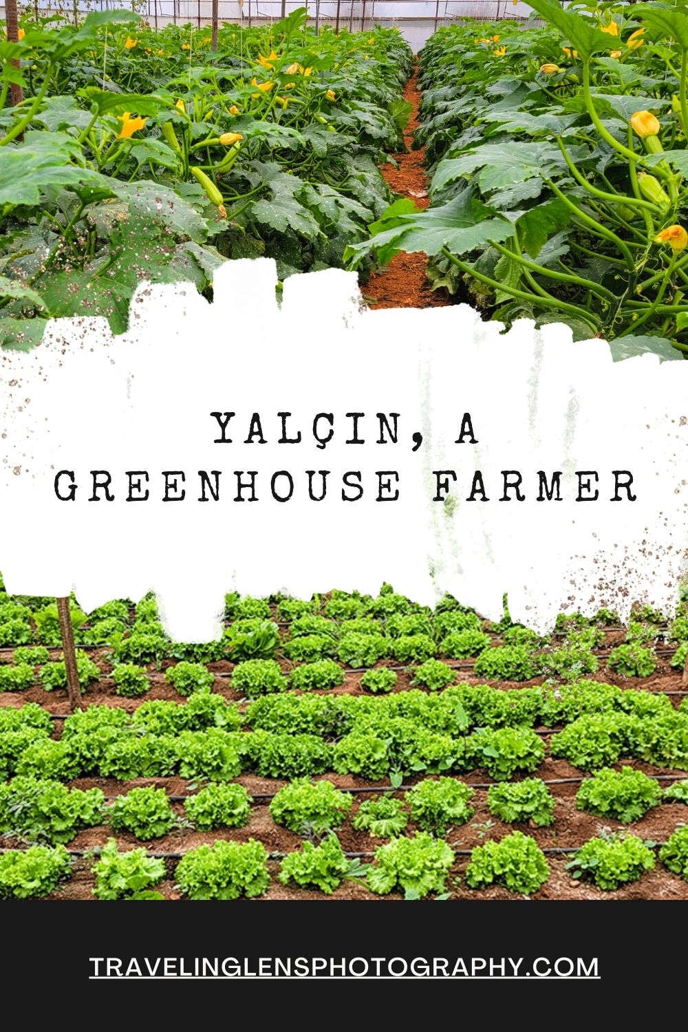 yalcin greenhouse pinterest
