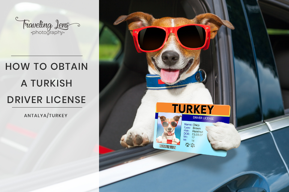 Turkish Driver License cover