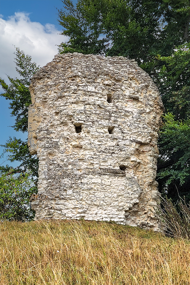 wallingford castle