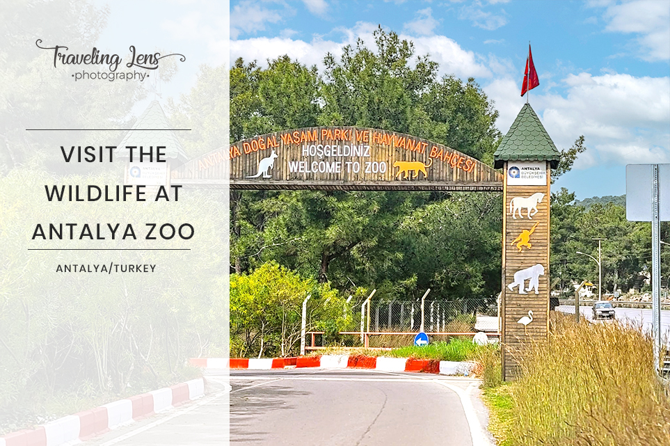 Antalya Zoo Cover