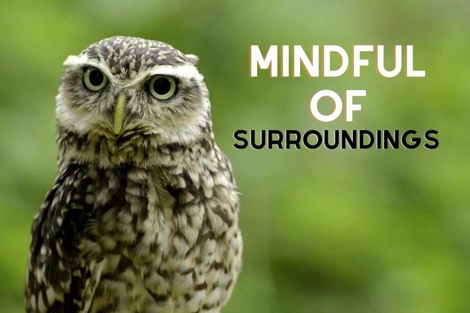 Mindful of Surroundings
